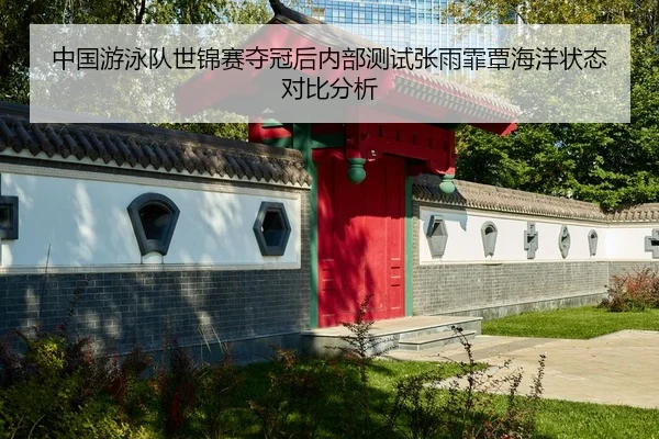 zhong-guo-you-yong-dui-shi-jin-sai-duo-guan-hou-nei-bu-ce-shi-zhang-yu-fei-tan-hai-yang-zhuang-tai-dui-bi-fen-xi-3-488.jpg
